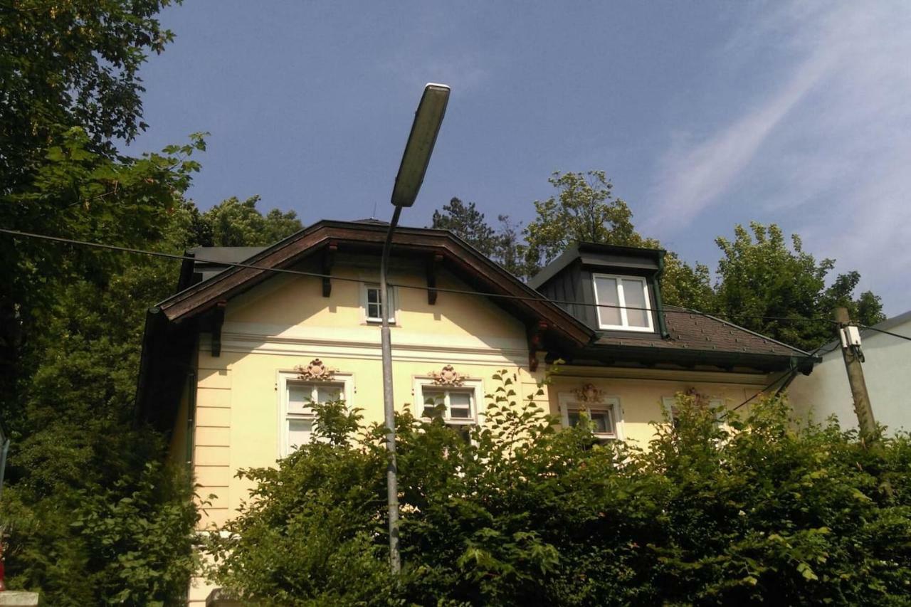 Ruhige, Grosse Ferienwohnung Am Muehlberg, Stadtrand ウィーン エクステリア 写真