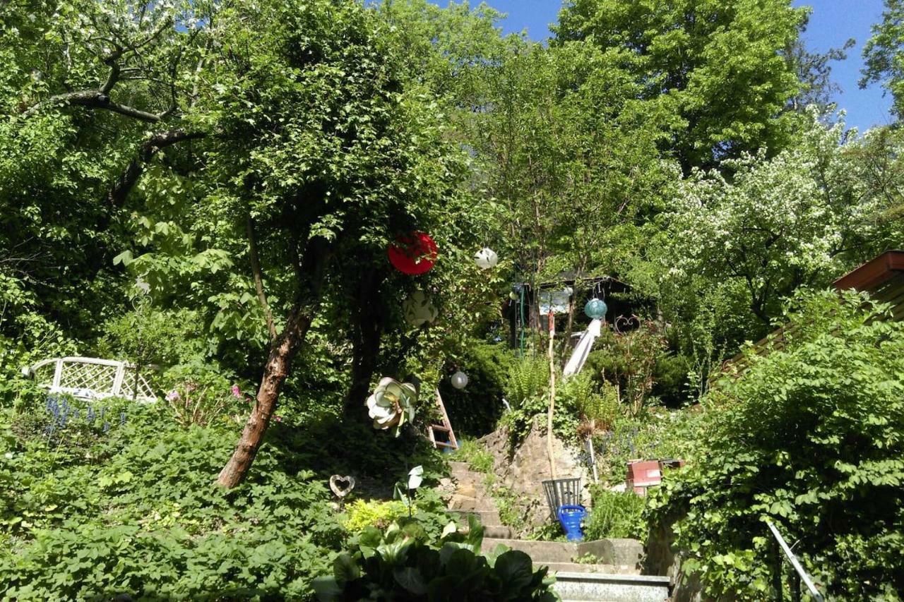 Ruhige, Grosse Ferienwohnung Am Muehlberg, Stadtrand ウィーン エクステリア 写真